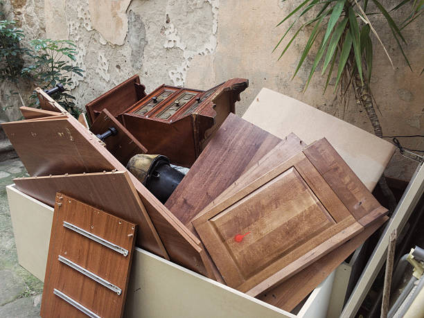 Best Carpet Removal and Disposal  in Plainview, MN